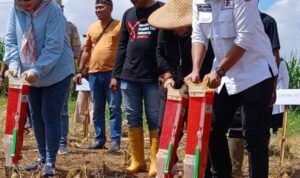 Masyarakat Diminta Laporkan Oknum yang Mencatut Nama Gempita yang Meminta Fee di Kementan